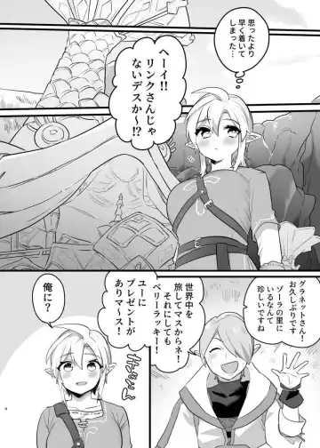 ]Ōji-sama no okinimesumama ni(The Legend of Zelda)sample Fhentai - Page 3