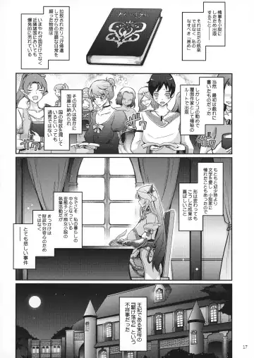 [Tana] Bikou Oujo 2 Inshuu Dadamore Princess Fhentai - Page 17