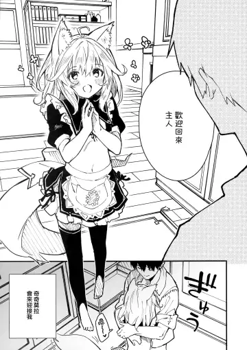 [Sawayaka Samehada] Kemomimi Maid to Ichaicha Suru Hon 3 Satsume Fhentai - Page 5