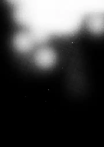 [Rojione] Lumine x Scaramouche Fhentai - Page 9