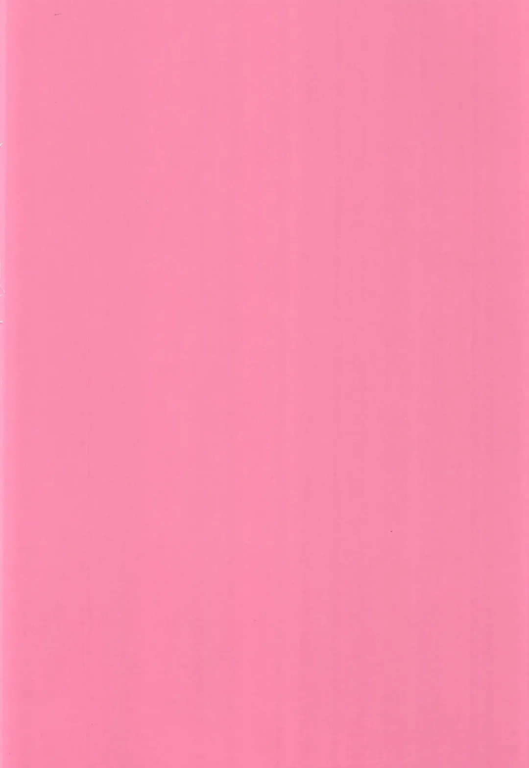 [Katase Minami] Koyanskaya Tamamo Bitch no Hon. 2 Fhentai - Page 28