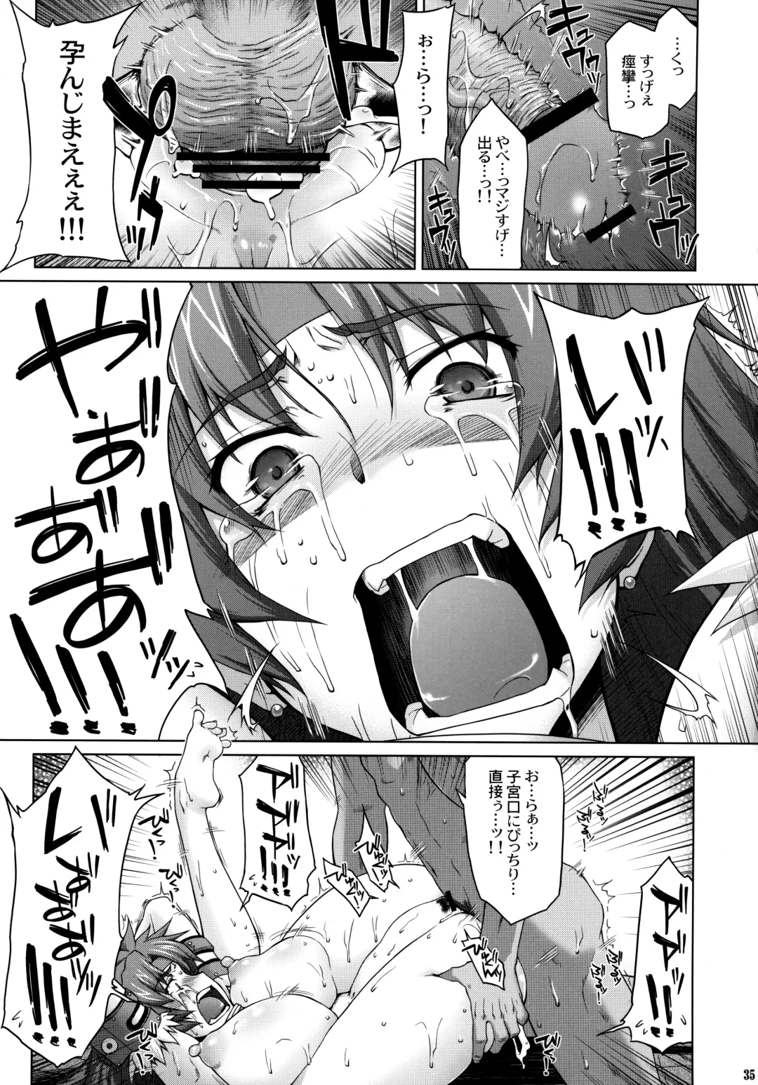 [Seura Isago] Risty-Rin ~Kanzenban~ Fhentai - Page 34