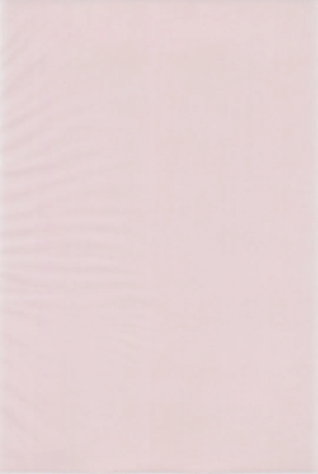 [Nihon Taizo] Shounen X Twintails Fhentai - Page 4