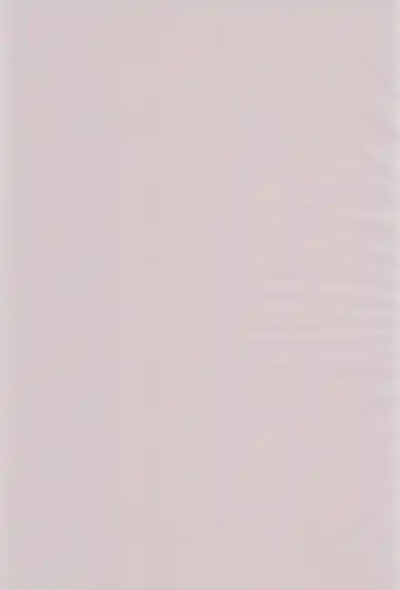 [Nihon Taizo] Shounen X Twintails Fhentai - Page 3