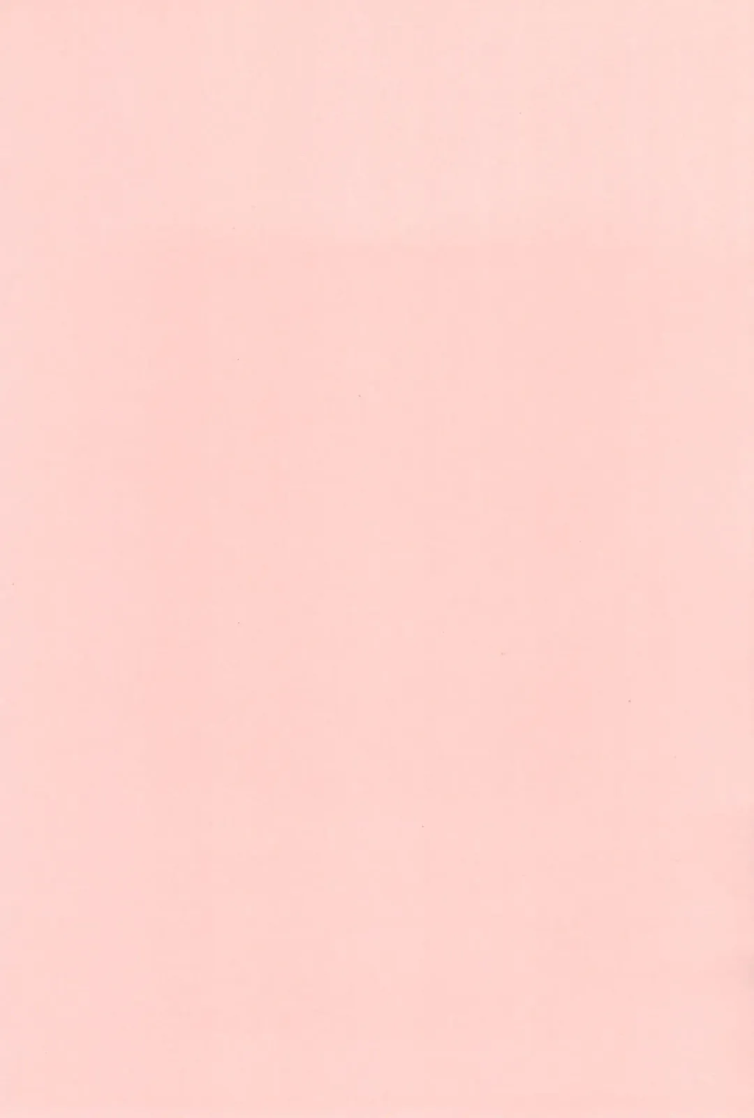 [Shimiko] High Risk x Lolita Fhentai - Page 3