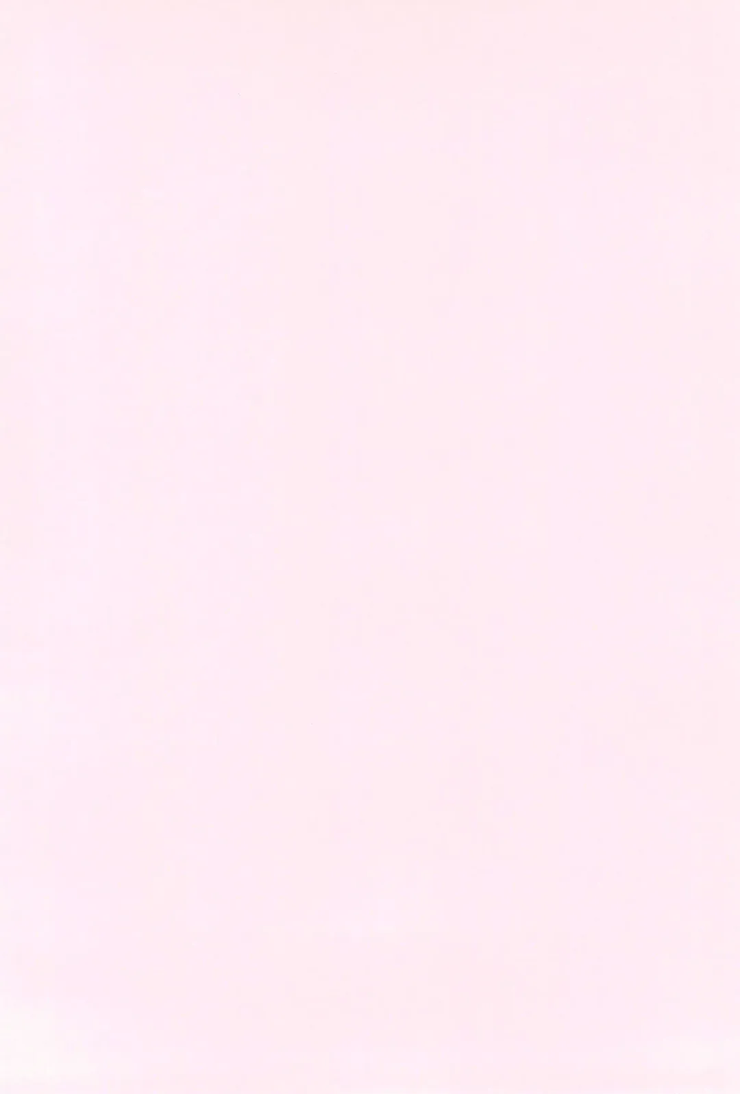 [Shimiko] Koufuku no Hanayome Koufuku no Hanamuko Fhentai - Page 4