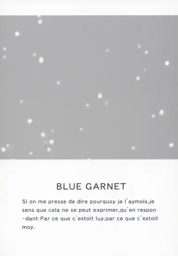 [Serizawa Katsumi] BLUE GARNET XVII Fhentai - Page 3