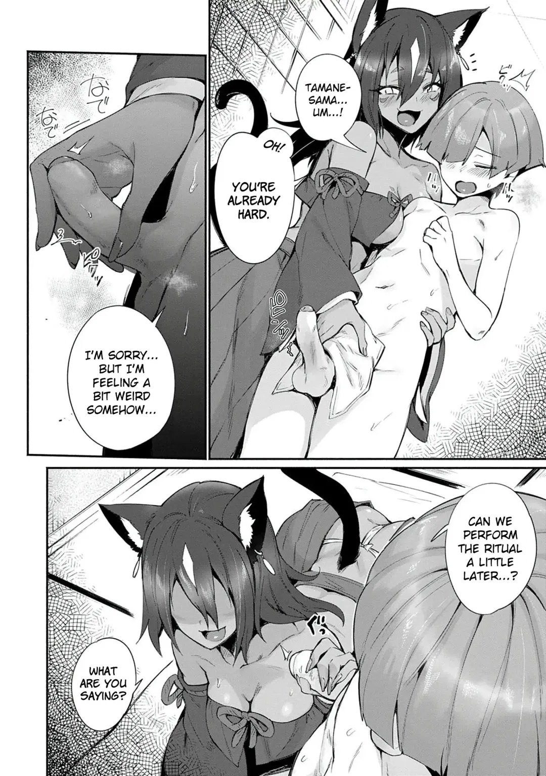 [Torichamaru] Tamane-sama no Kami Fudeoroshi (decensored) Fhentai - Page 4