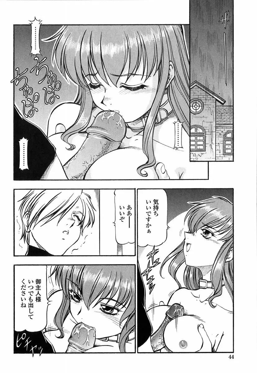 [Itoyoko] Kichiku no Tora - Sold Out Fhentai - Page 42