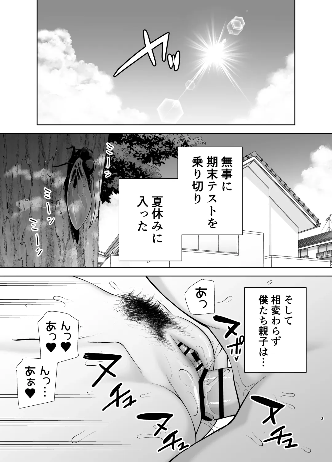 [Siberian Hahasky] Boku no Kaa-san de, Boku no Suki na Hito.3 Fhentai - Page 2