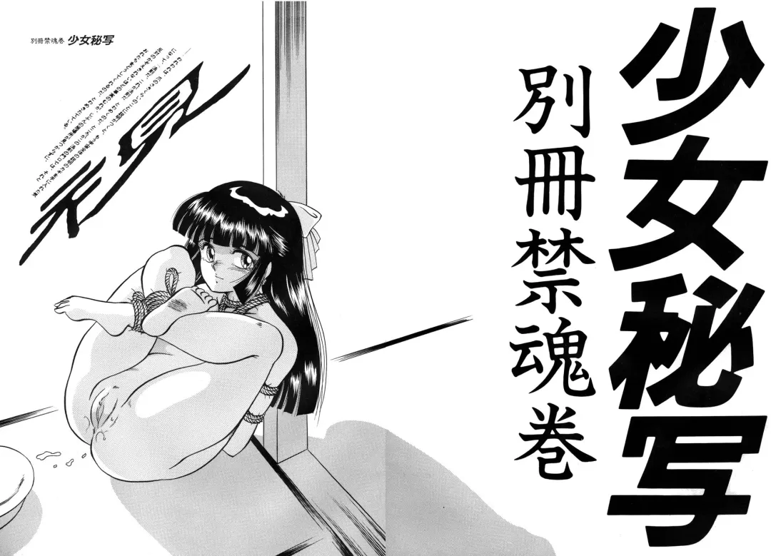 [Dirty Okamoto - Hoshino Yuuki] Shoujo Hisha 02 Fhentai - Page 3