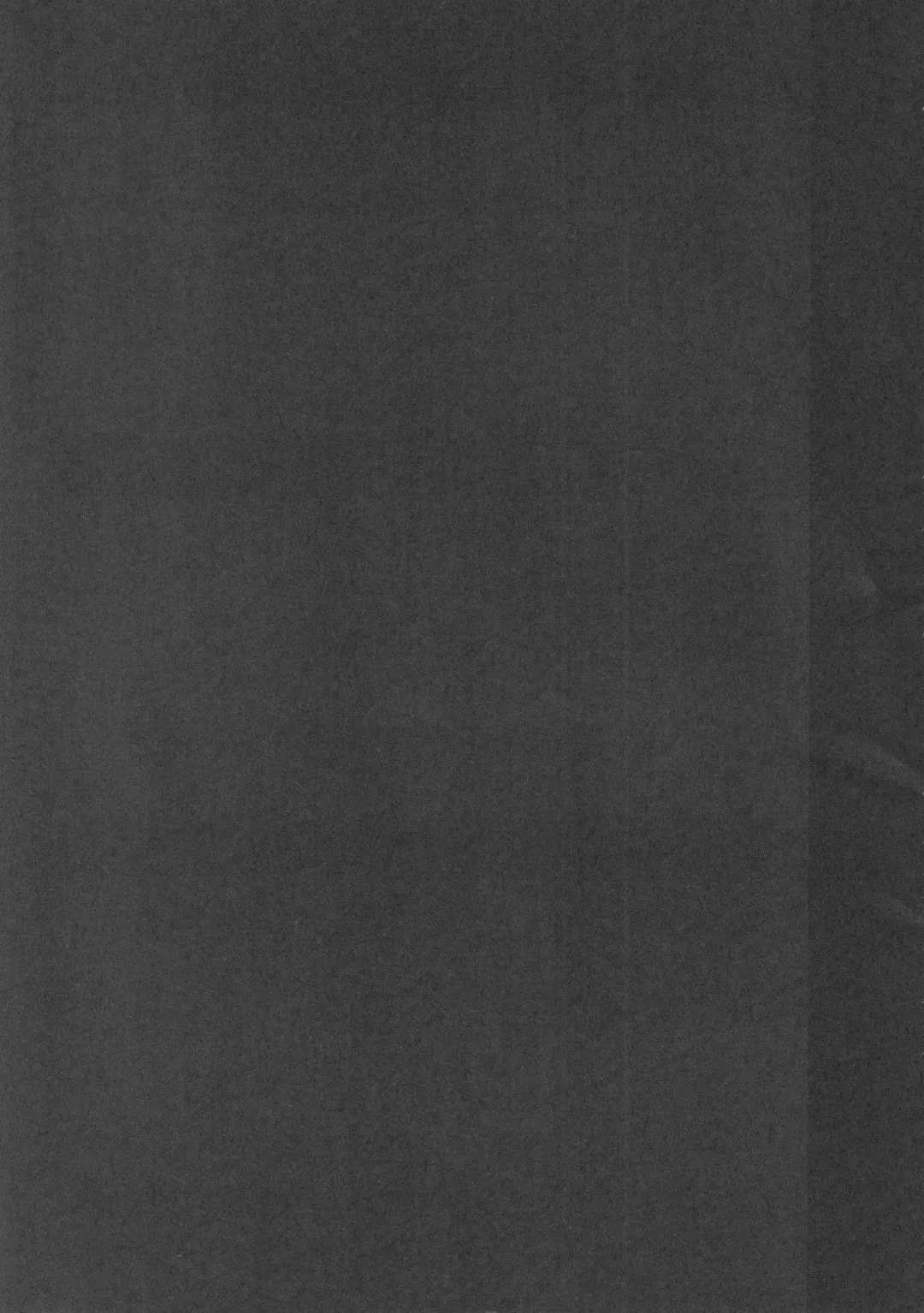 [Hans - Yassy] Zettai Yurusennin Touhou Ita Toshiaki Goudou 3 Fhentai - Page 106