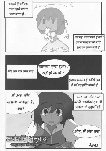 [Hans - Yassy] Zettai Yurusennin Touhou Ita Toshiaki Goudou 3 Fhentai - Page 30