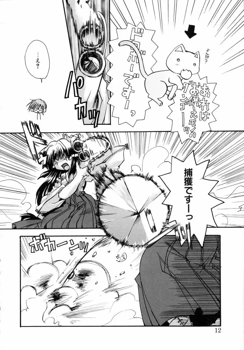 [Ryuga Syo] Dynamite Miko Fhentai - Page 14