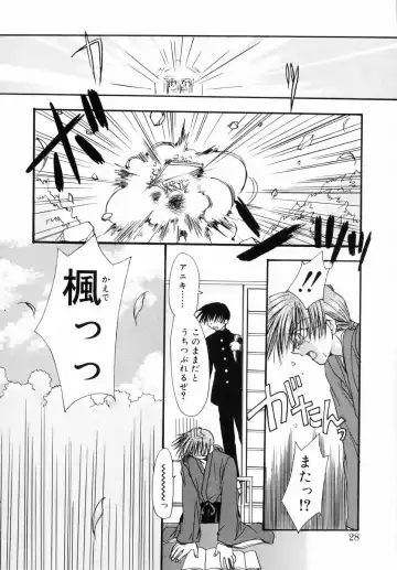 [Ryuga Syo] Dynamite Miko Fhentai - Page 30