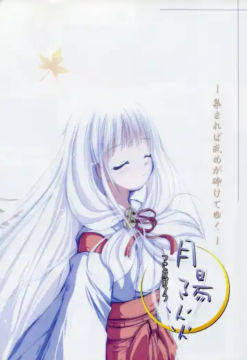 [Primil] Tsukikagerou Rengashuu Fhentai - Page 22