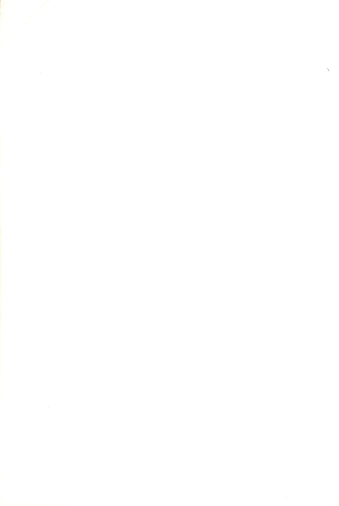 [Marcy Dog] God Hand Densetsu Fhentai - Page 107