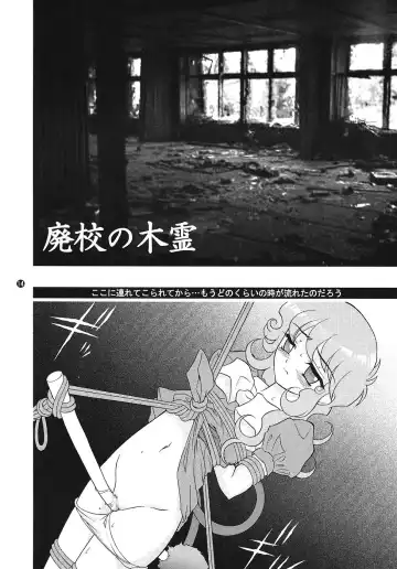 [Wing Bird] CHARA EMU CHARACTER EMULATION Series 1 MAGICALGIRLS Fhentai - Page 13