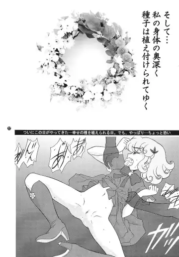 [Wing Bird] CHARA EMU CHARACTER EMULATION Series 1 MAGICALGIRLS Fhentai - Page 21
