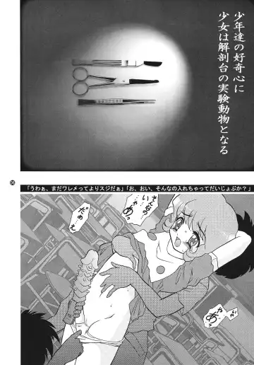 [Wing Bird] CHARA EMU CHARACTER EMULATION Series 1 MAGICALGIRLS Fhentai - Page 5