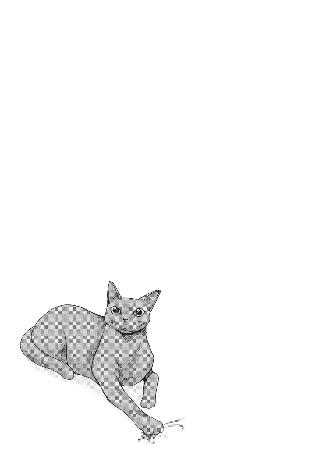 [Haruki] Cat in Hot Girl's dorm volume 2 Fhentai - Page 132