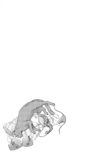 [Haruki] Cat in Hot Girl's dorm volume 2 Fhentai - Page 28