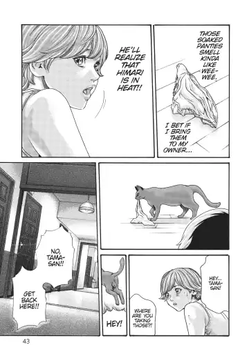 [Haruki] Cat in Hot Girl's dorm volume 2 Fhentai - Page 44