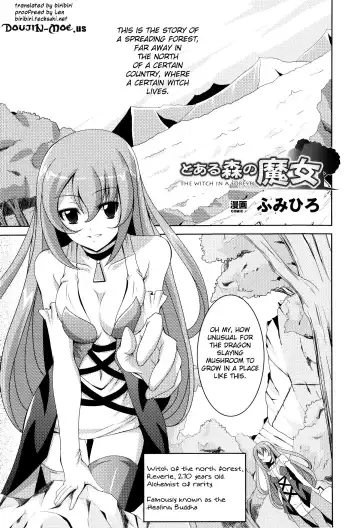 Read [Fumihiro] The Witch In A Forest - Fhentai