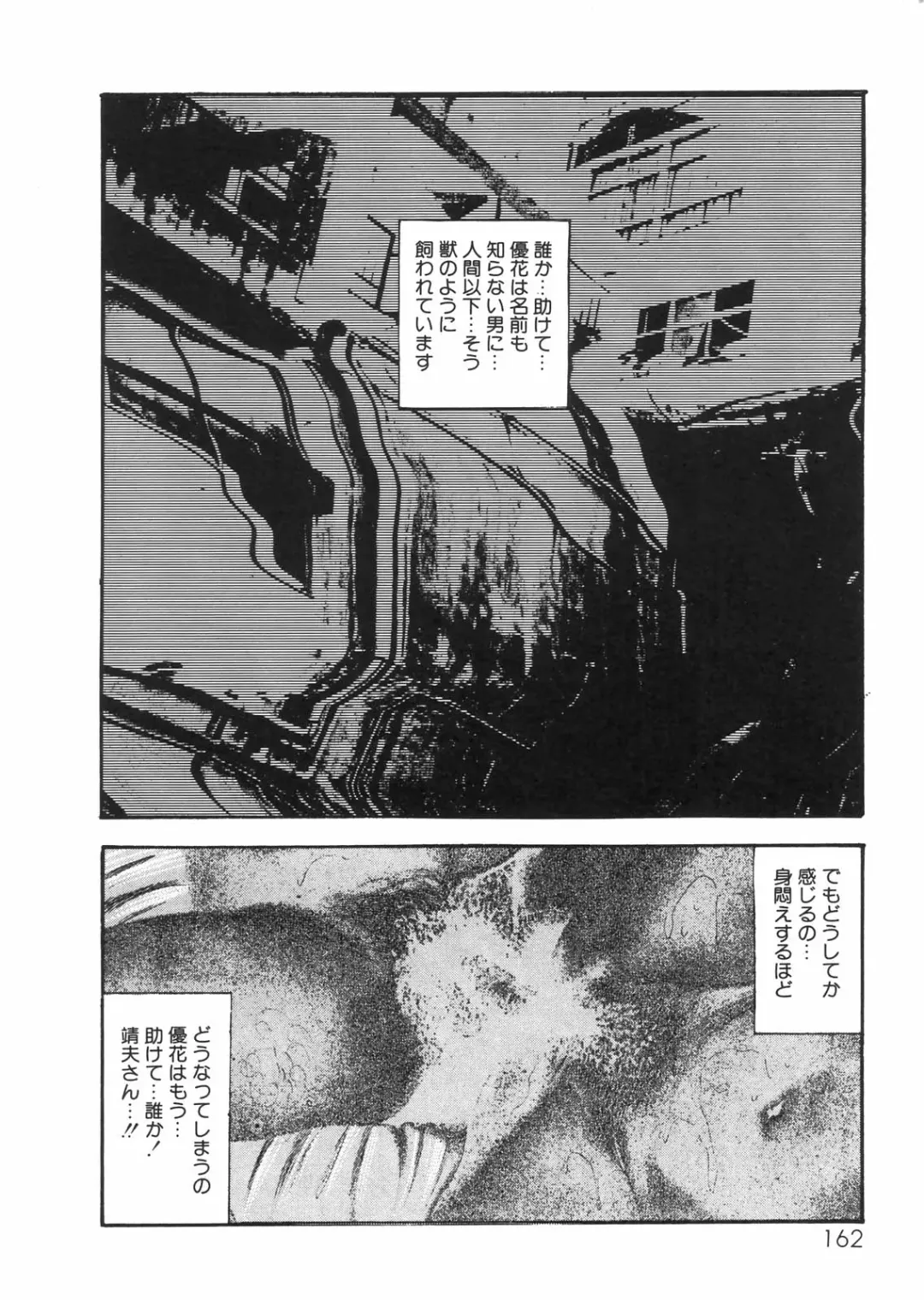 [Sanjou Tomomi] Sanjou Tomomi Zenshuu Vol. 25 - Shokuchuuka Fujin Hen Fhentai - Page 142