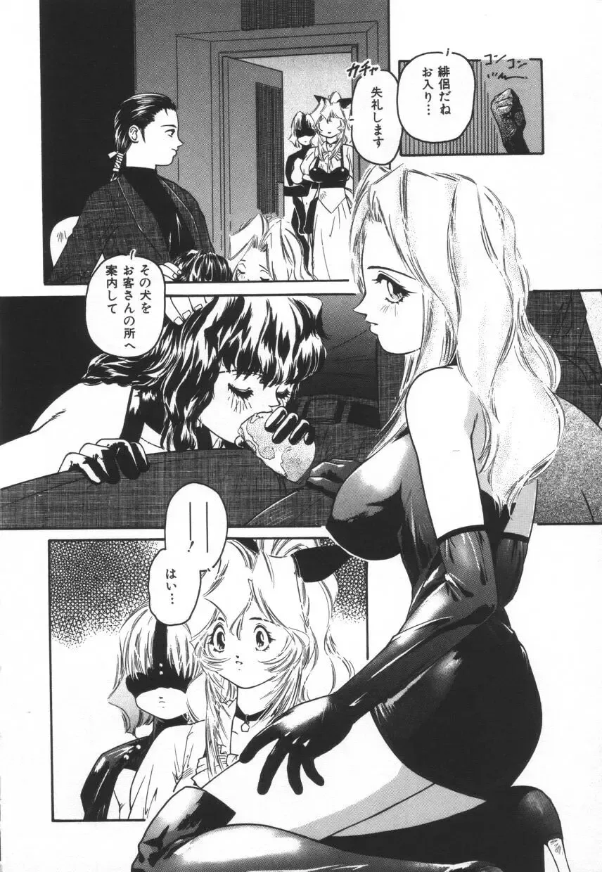 [Protonsaurus] Backyard Breeder Fhentai - Page 140