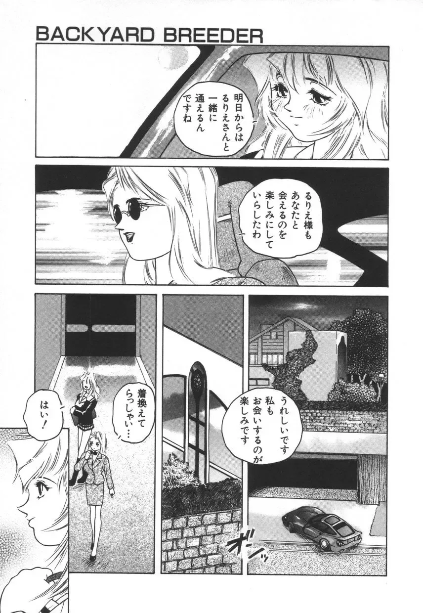 [Protonsaurus] Backyard Breeder Fhentai - Page 19