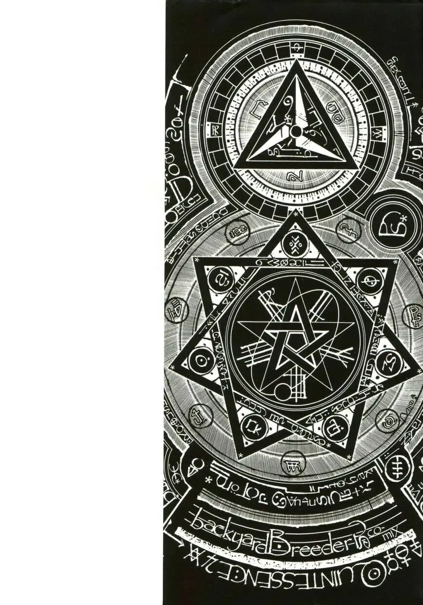 [Protonsaurus] Backyard Breeder Fhentai - Page 3