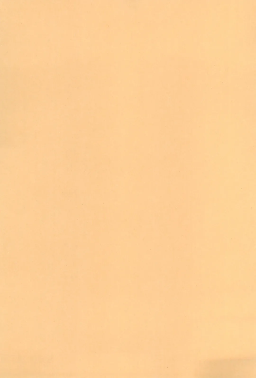 [Yatsugi Teco] Momiji Naburi Fhentai - Page 25