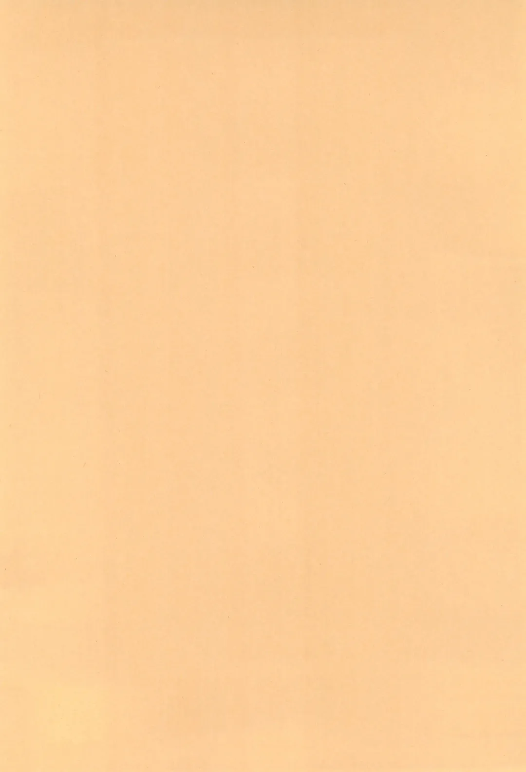 [Yatsugi Teco] Momiji Naburi Fhentai - Page 26