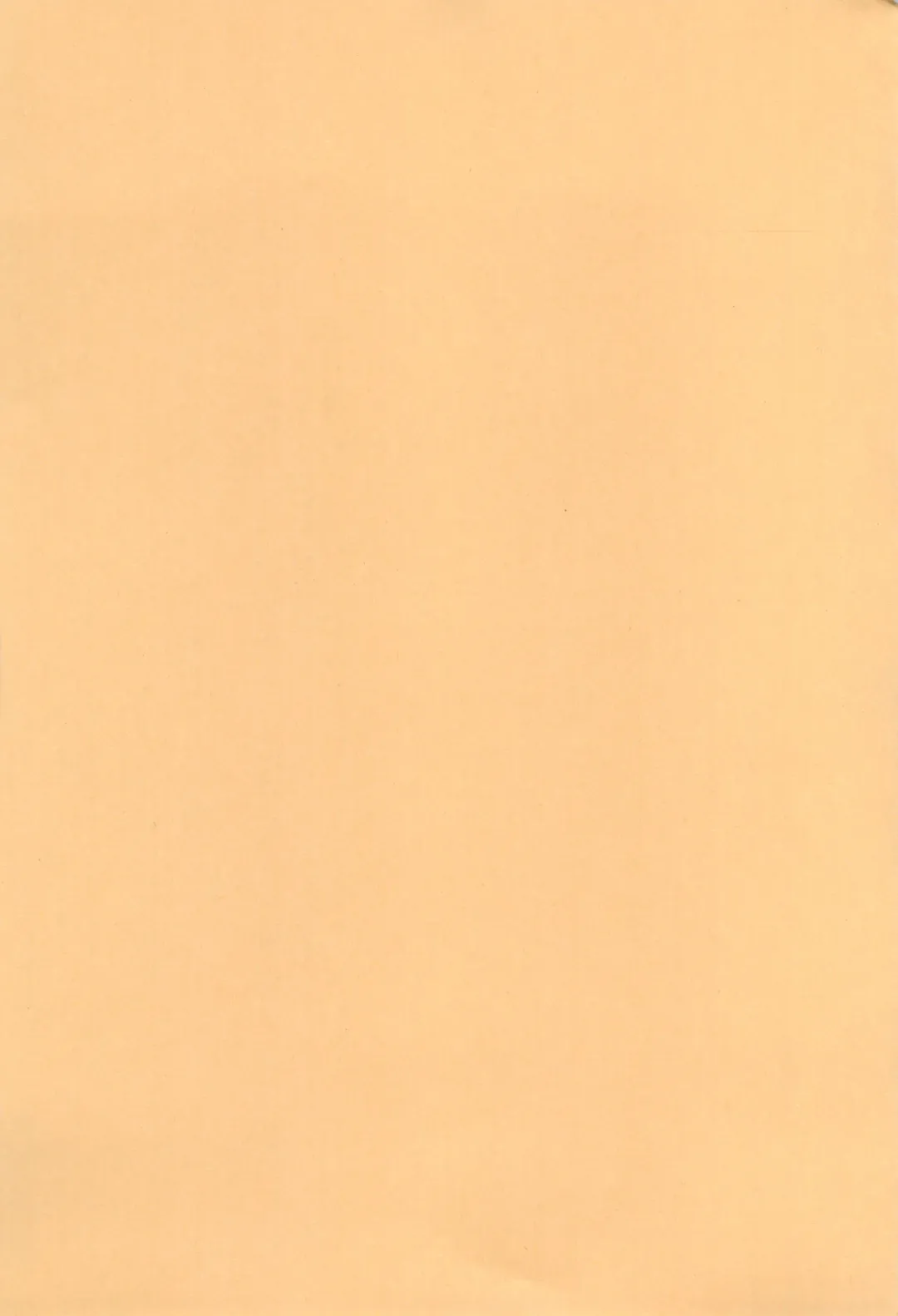 [Yatsugi Teco] Momiji Naburi Fhentai - Page 3