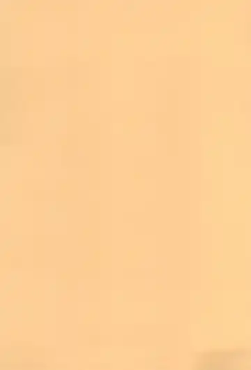 [Yatsugi Teco] Momiji Naburi Fhentai - Page 25