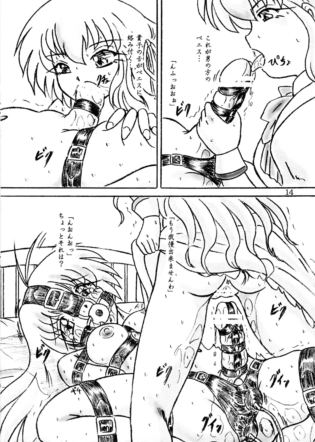 [Sumomo Ex] Ririan.3 Futanari Mizuho-chan Fhentai - Page 14