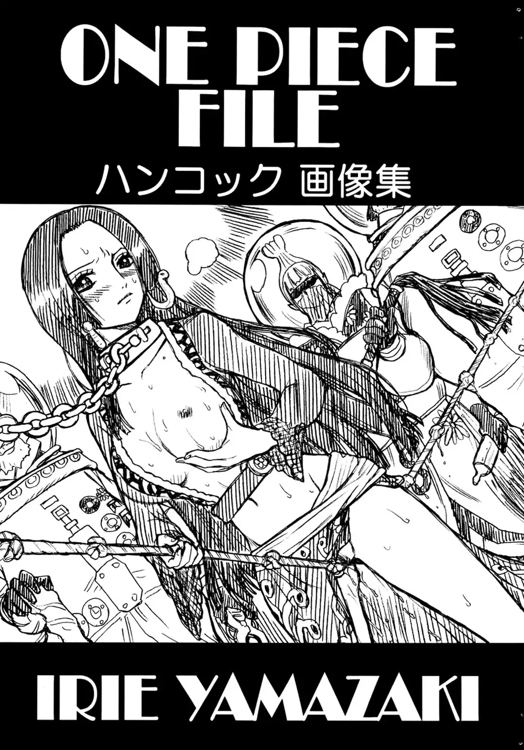 [Irie Yamazaki] ONE PIECE FILE Hancock Gazoushuu Fhentai - Page 1