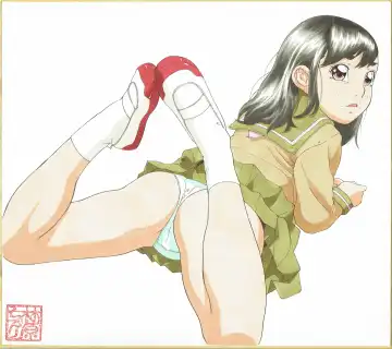 [Hayashibara Hikari] Shikishi Zukan 3 Fhentai - Page 12