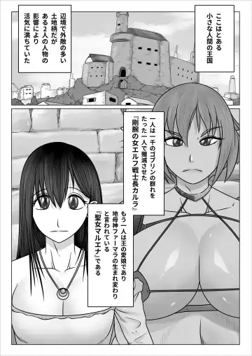 Eiyuu to Yobareta Onna Elf Senshichou ga Inran Mesu Buta ni Nikutai Kaizou Sare Tanetsuke Semen Benki to shite Isshou Houshi suru Hanashi Fhentai - Page 3