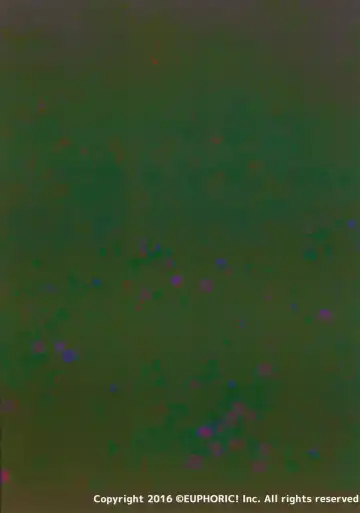 [Shizuru] Yotsuo no Emaki Fhentai - Page 22