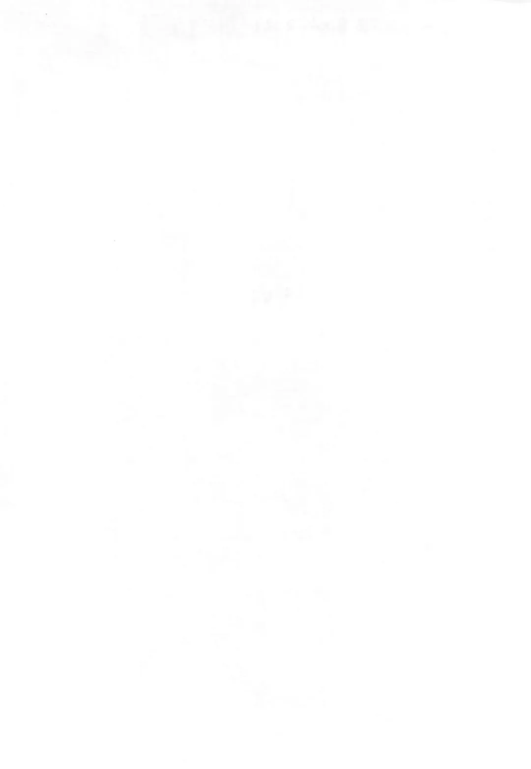 [Wasizuu] Sokuyhenkyaku Sokuchuunyuu Fhentai - Page 2