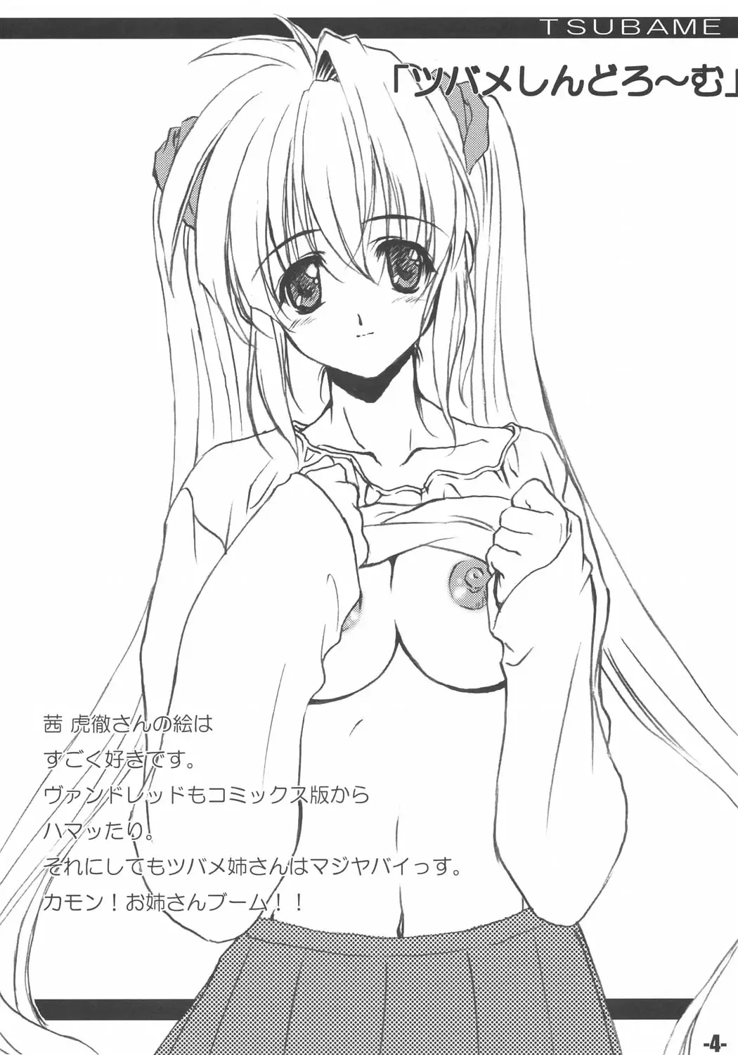 [Minakami Hiroki] EXtra stage EXTEND 01 Fhentai - Page 3