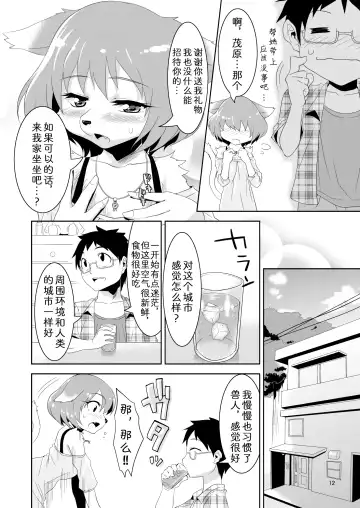 [Nme] Kemono Datte Koi Shitai Fhentai - Page 12