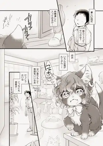 [Ikuta Takanon] Mof-Pako! Cat Cafe Fhentai - Page 2