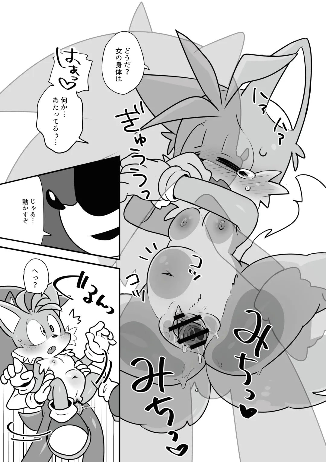 [Hentaib] Tails and Sonic's special Fuss Fhentai - Page 10