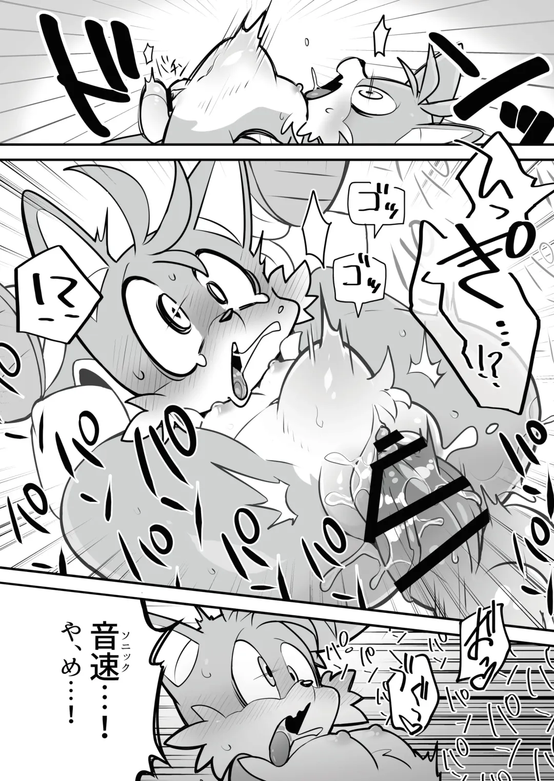 [Hentaib] Tails and Sonic's special Fuss Fhentai - Page 11