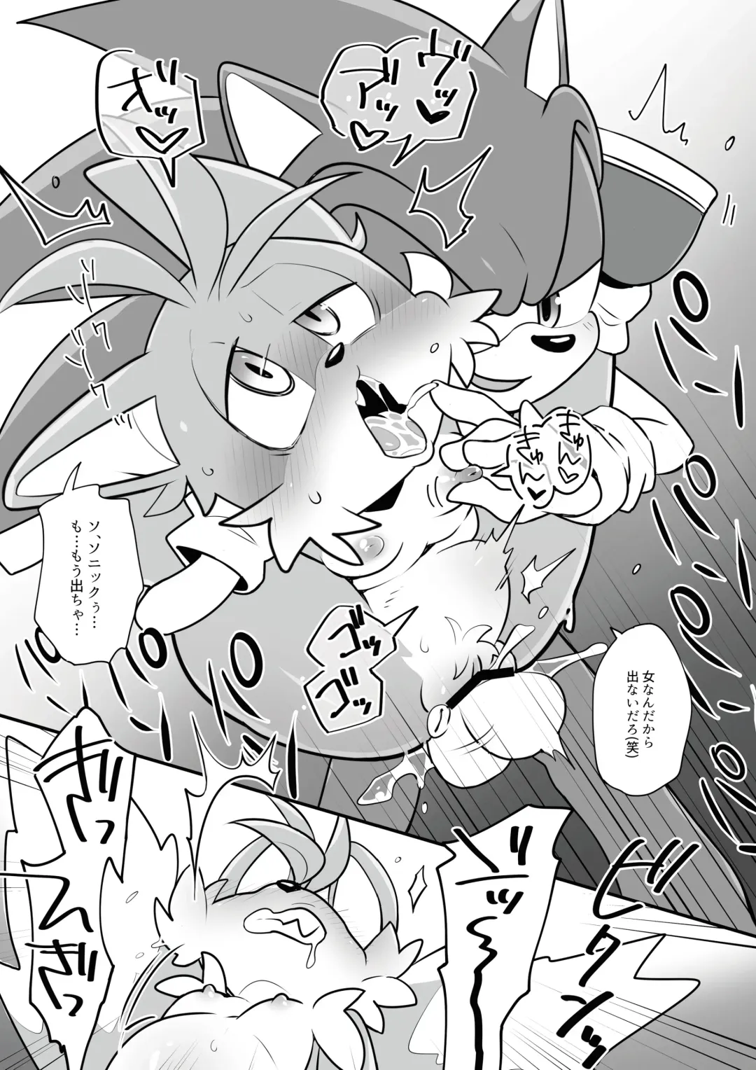 [Hentaib] Tails and Sonic's special Fuss Fhentai - Page 12