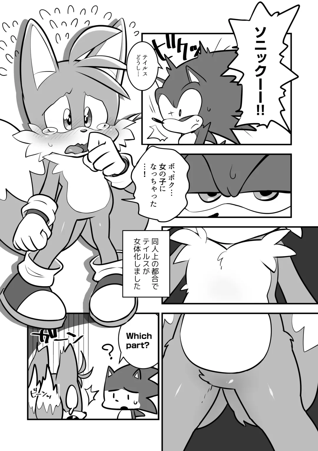 [Hentaib] Tails and Sonic's special Fuss Fhentai - Page 2