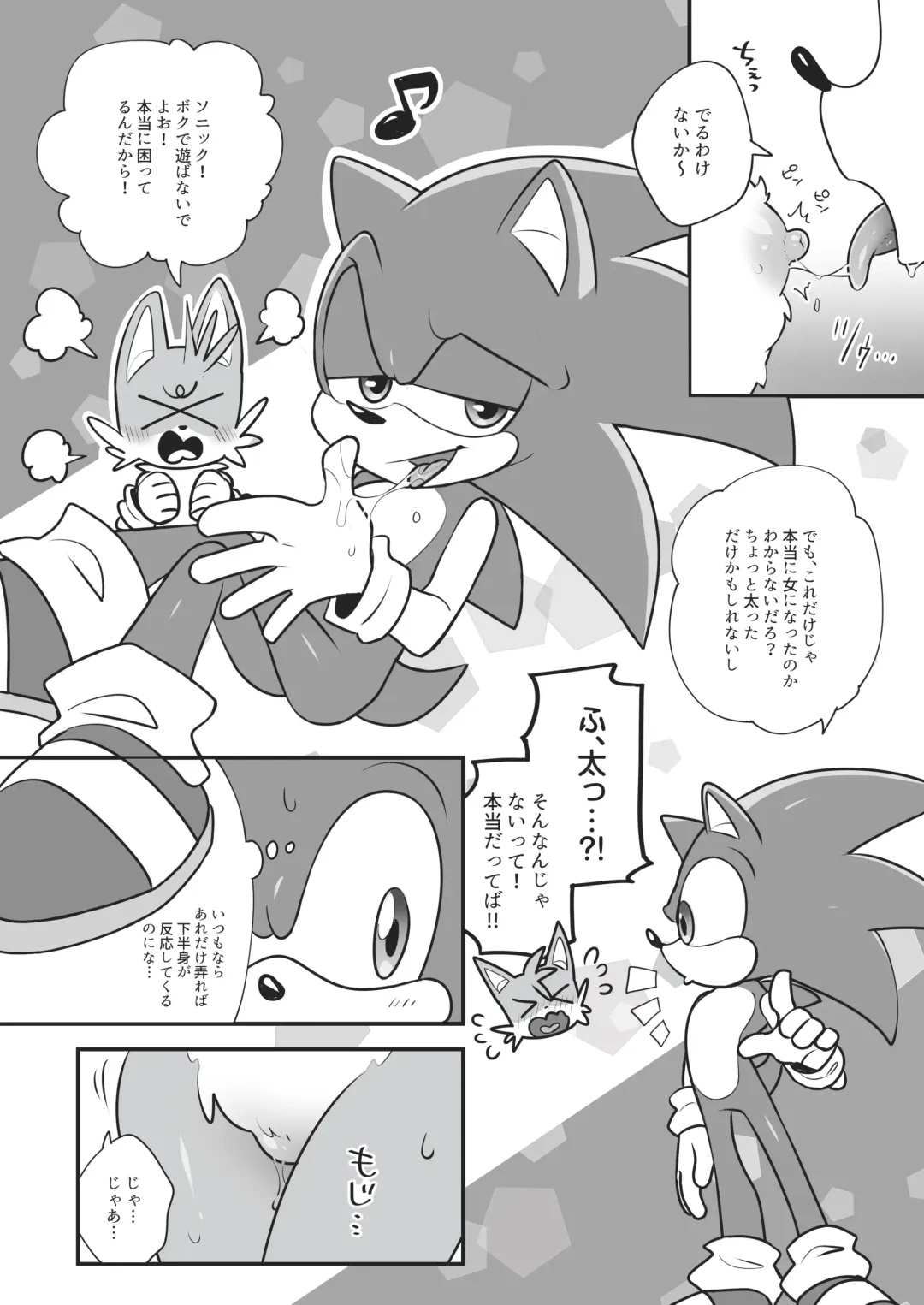 [Hentaib] Tails and Sonic's special Fuss Fhentai - Page 5